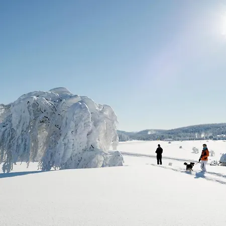Berghaus Freiburg - Auf Dem Schauinsland Oberried (Breisgau)