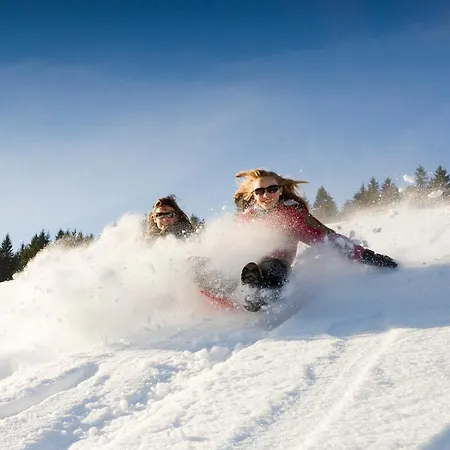 Hotel Berghaus Freiburg - Auf Dem Schauinsland Oberried (Breisgau)
