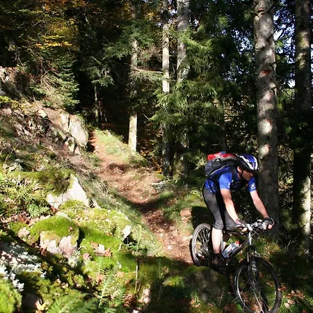 Berghaus Freiburg - Auf Dem Schauinsland Otel 3*