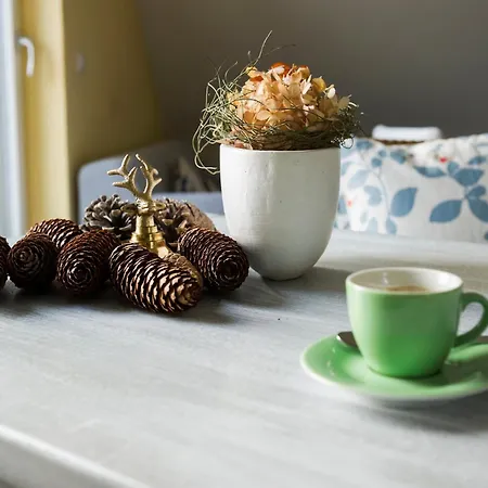 Berghaus Freiburg - Auf Dem Schauinsland Hotel