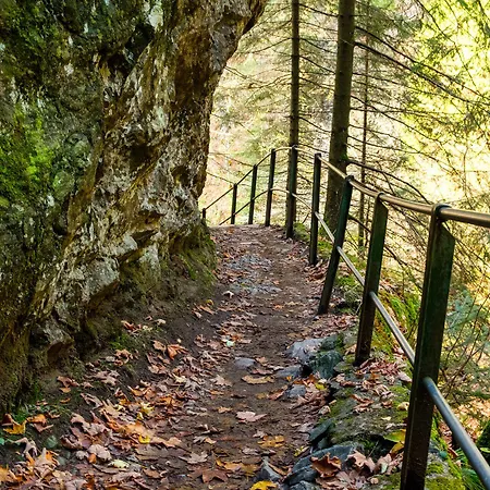 Berghaus Freiburg - Auf Dem Schauinsland 3* Oberried (Breisgau)