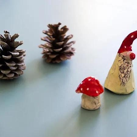 Hotel Berghaus Freiburg - Auf Dem Schauinsland